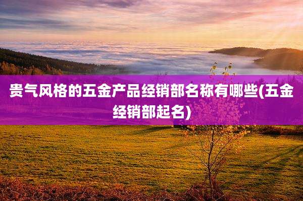 贵气风格的五金产品经销部名称有哪些(五金经销部起名)