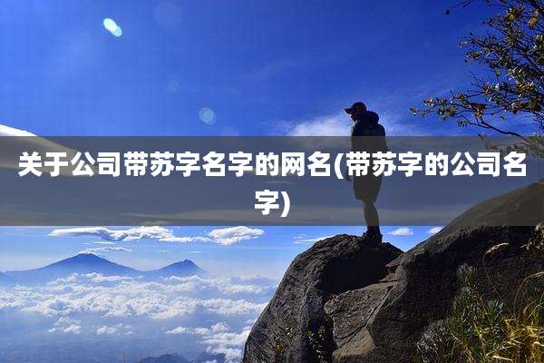 关于公司带苏字名字的网名(带苏字的公司名字)