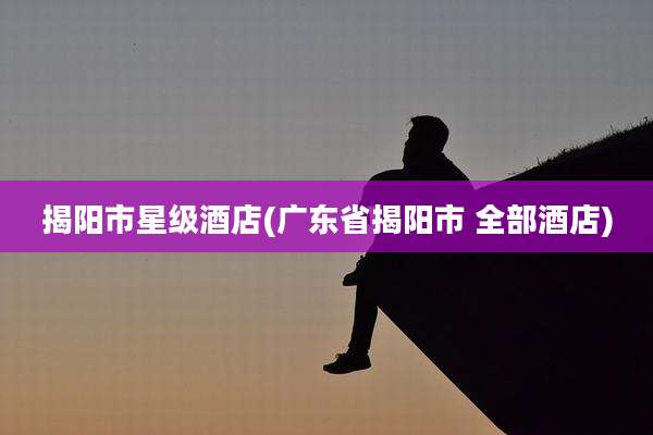 揭阳市星级酒店(广东省揭阳市 全部酒店)