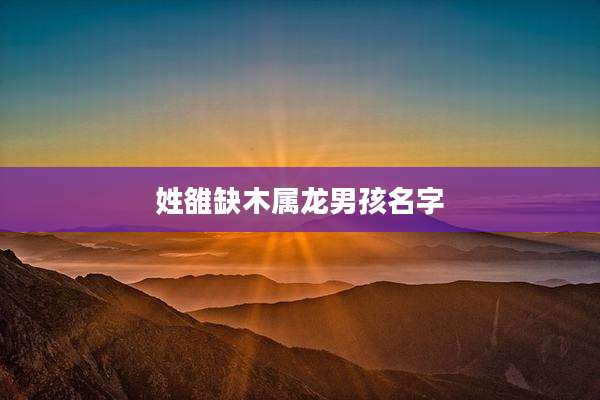 姓雒缺木属龙男孩名字