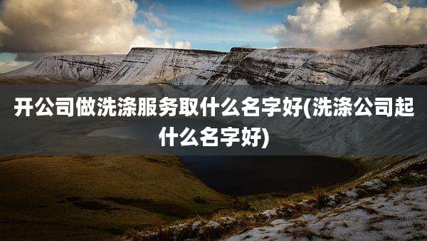 开公司做洗涤服务取什么名字好(洗涤公司起什么名字好)