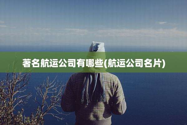 著名航运公司有哪些(航运公司名片)