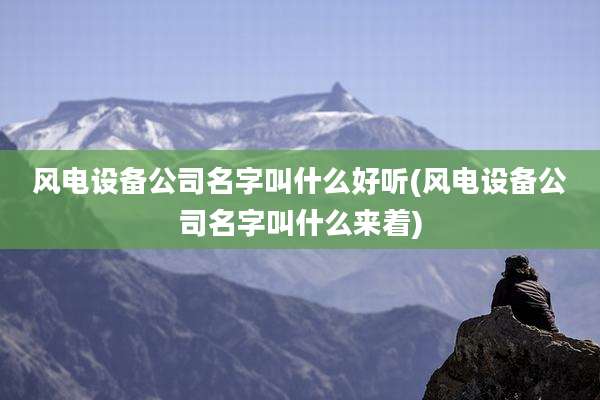 风电设备公司名字叫什么好听(风电设备公司名字叫什么来着)