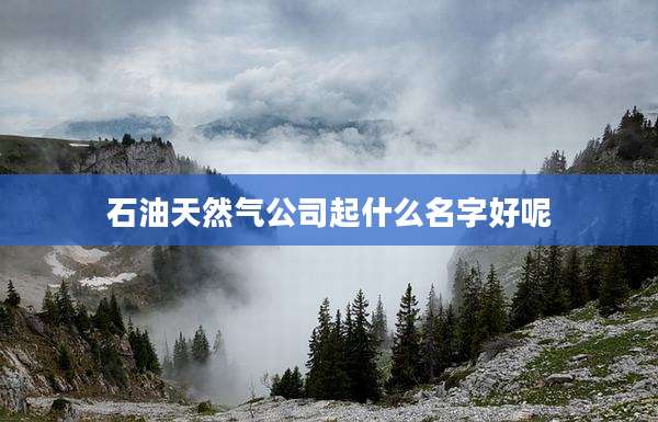 石油天然气公司起什么名字好呢