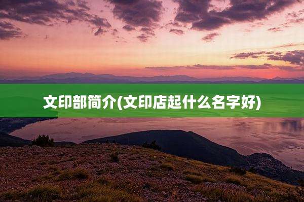 文印部简介(文印店起什么名字好)