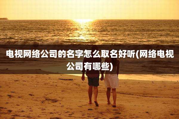电视网络公司的名字怎么取名好听(网络电视公司有哪些)