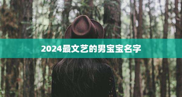 2024最文艺的男宝宝名字