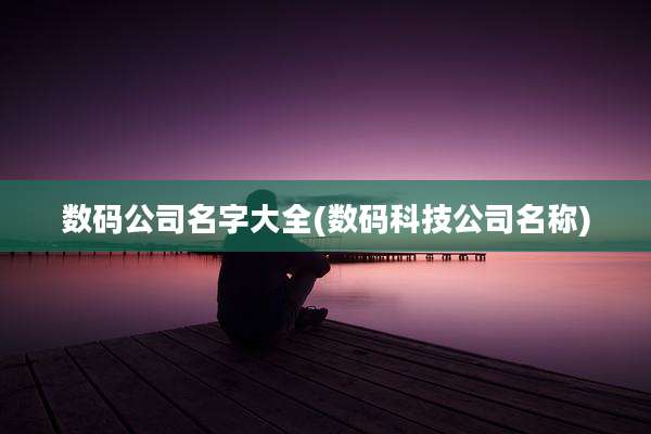 数码公司名字大全(数码科技公司名称)