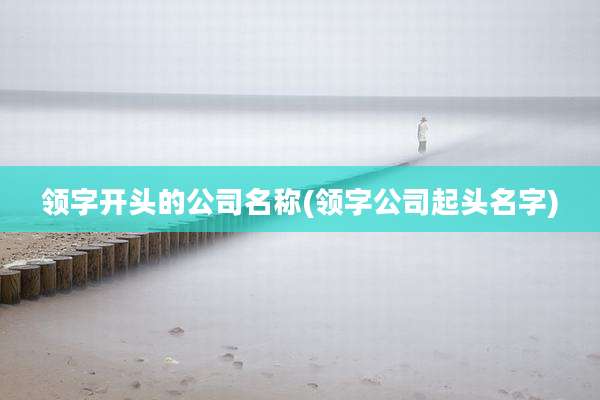 领字开头的公司名称(领字公司起头名字)