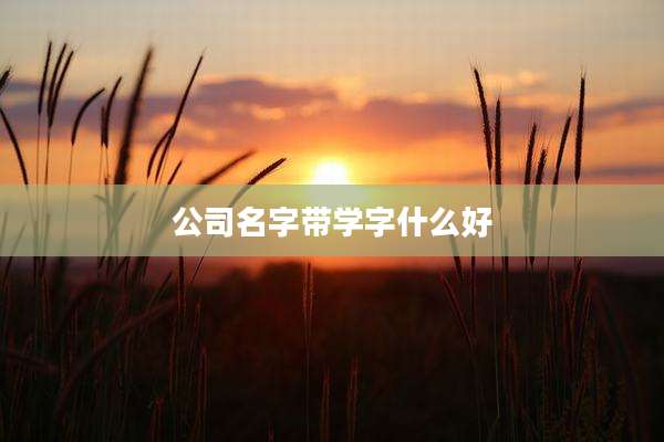公司名字带学字什么好