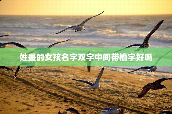 姓墨的女孩名字双字中间带榆字好吗