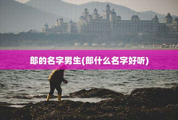 郎的名字男生(郎什么名字好听)
