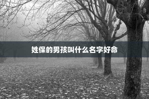姓保的男孩叫什么名字好命