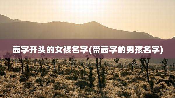 茜字开头的女孩名字(带茜字的男孩名字)