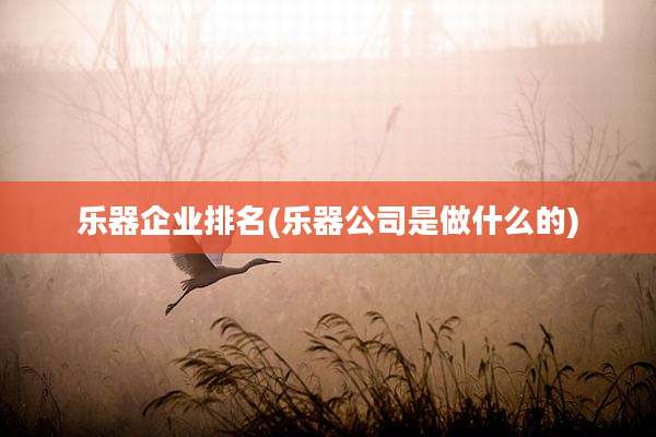 乐器企业排名(乐器公司是做什么的)