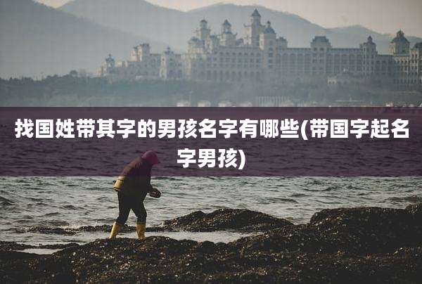找国姓带其字的男孩名字有哪些(带国字起名字男孩)