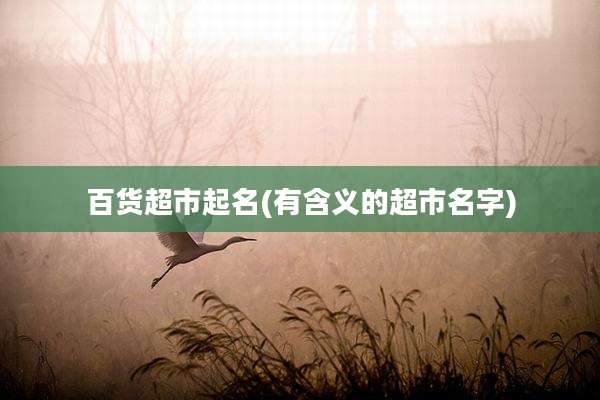 百货超市起名(有含义的超市名字)