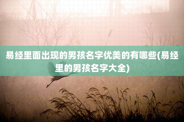 易经里面出现的男孩名字优美的有哪些(易经里的男孩名字大全)