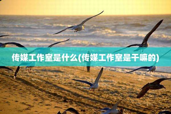 传媒工作室是什么(传媒工作室是干嘛的)