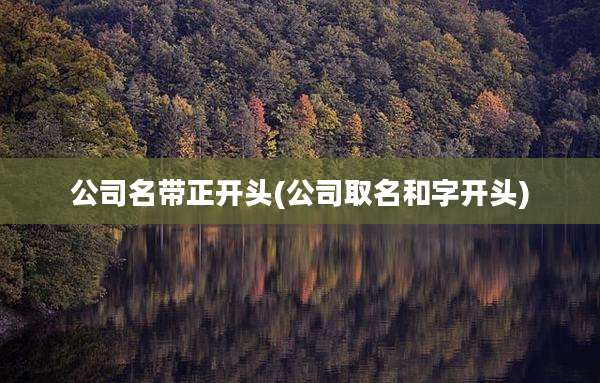 公司名带正开头(公司取名和字开头)