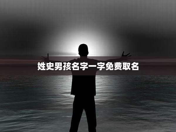 姓史男孩名字一字免费取名