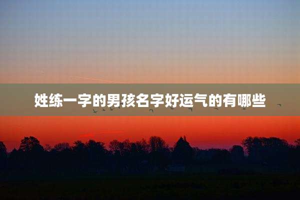 姓练一字的男孩名字好运气的有哪些