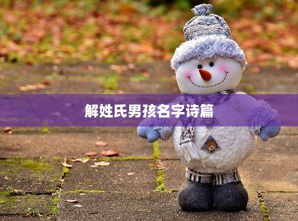 解姓氏男孩名字诗篇