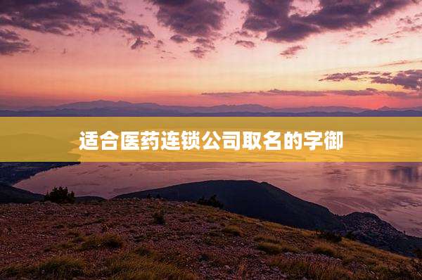 适合医药连锁公司取名的字御
