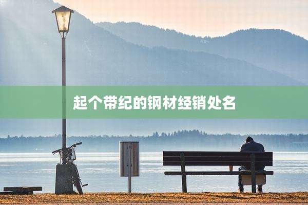 起个带纪的钢材经销处名