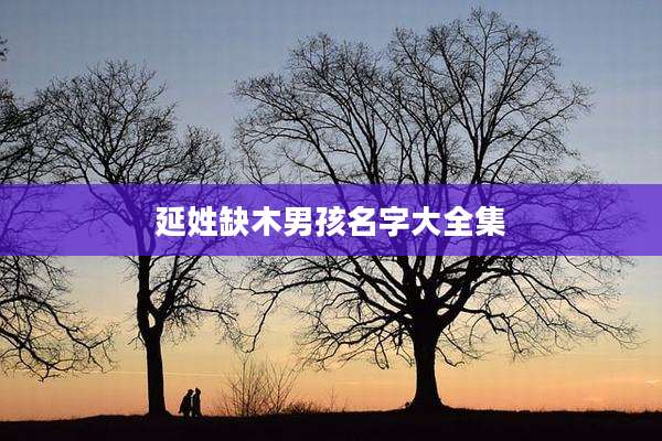 延姓缺木男孩名字大全集