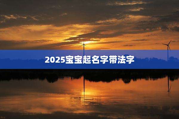 2025宝宝起名字带法字
