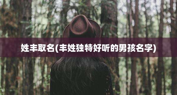 姓丰取名(丰姓独特好听的男孩名字)