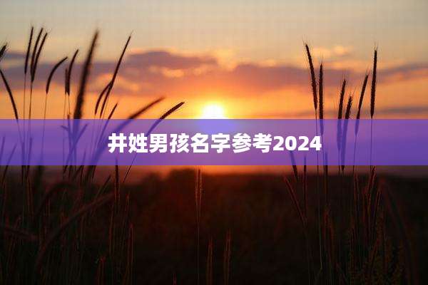 井姓男孩名字参考2024