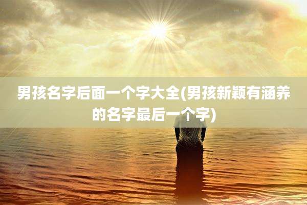 男孩名字后面一个字大全(男孩新颖有涵养的名字最后一个字)