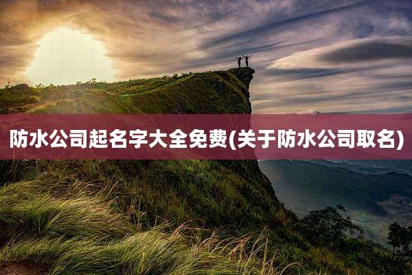防水公司起名字大全免费(关于防水公司取名)