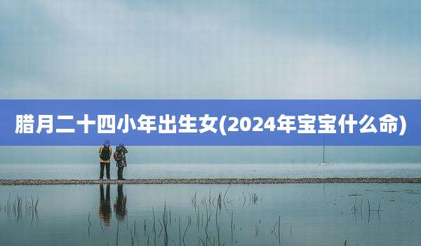 腊月二十四小年出生女(2024年宝宝什么命)