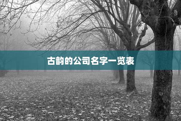 古韵的公司名字一览表