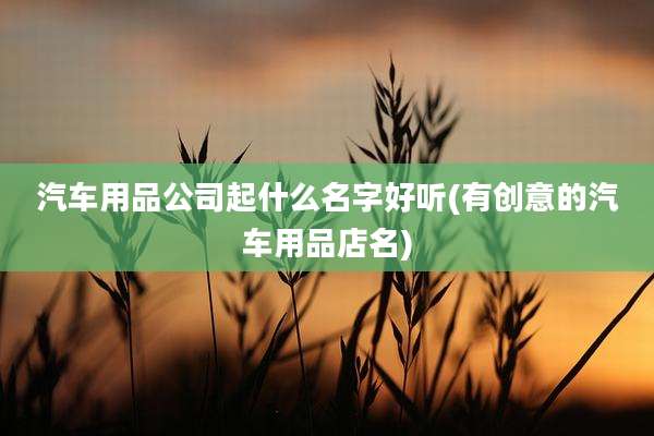 汽车用品公司起什么名字好听(有创意的汽车用品店名)