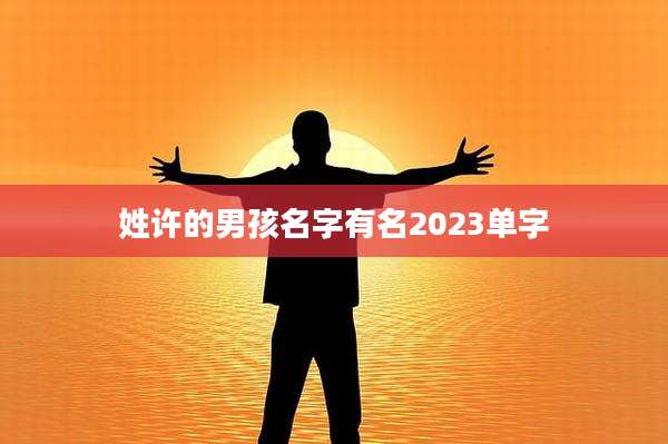 姓许的男孩名字有名2023单字