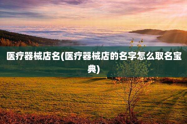 医疗器械店名(医疗器械店的名字怎么取名宝典)