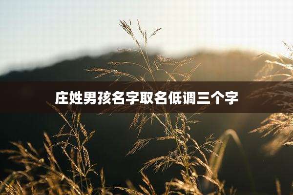 庄姓男孩名字取名低调三个字