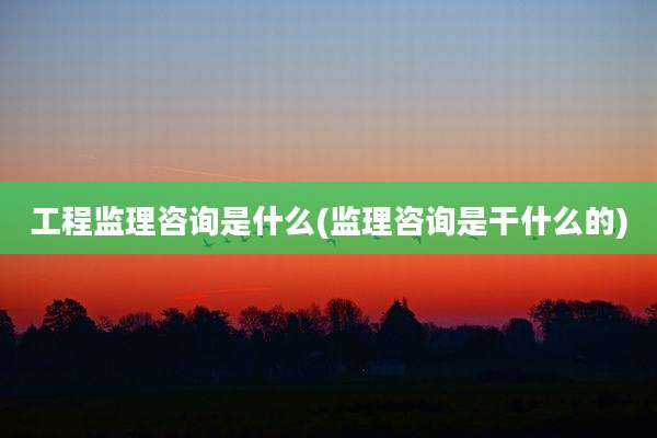 工程监理咨询是什么(监理咨询是干什么的)