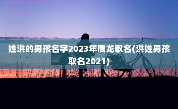 姓洪的男孩名字2023年属龙取名(洪姓男孩取名2021)