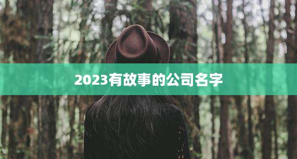 2023有故事的公司名字