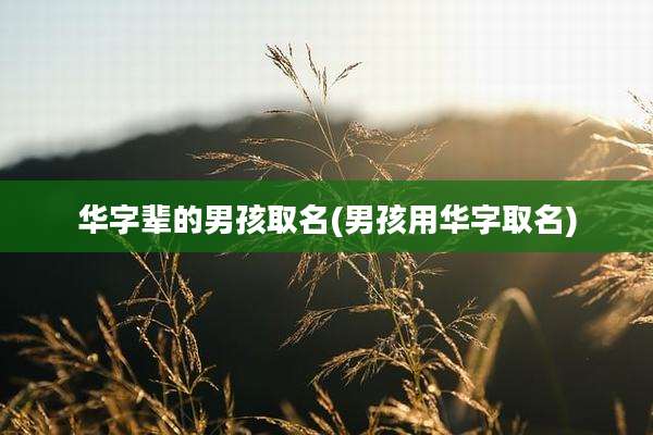 华字辈的男孩取名(男孩用华字取名)