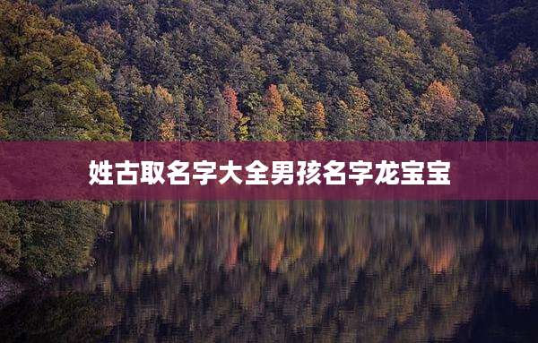 姓古取名字大全男孩名字龙宝宝