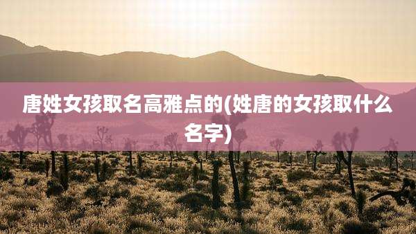 唐姓女孩取名高雅点的(姓唐的女孩取什么名字)