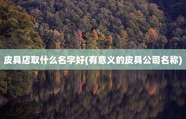 皮具店取什么名字好(有意义的皮具公司名称)