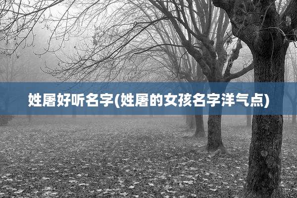 姓屠好听名字(姓屠的女孩名字洋气点)