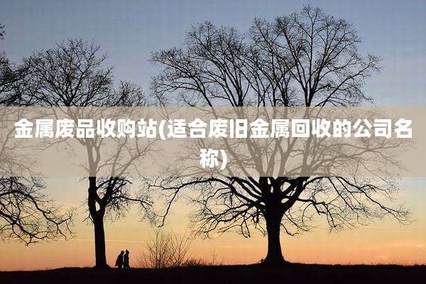 金属废品收购站(适合废旧金属回收的公司名称)